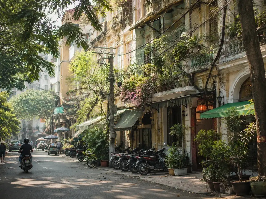 A characterful District 1 street in Ho Chi Minh City, shophouses and parked motorbikes under tropical trees